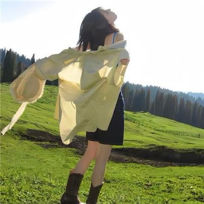 神勇飞虎霸王花