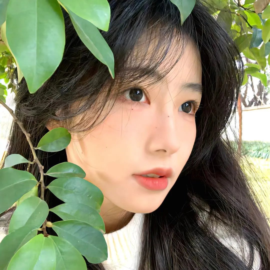 爱恋安迪·哈迪