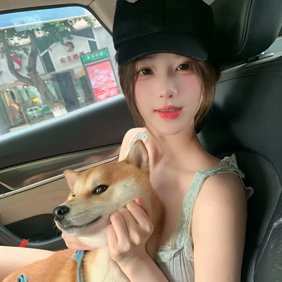 戴洛奇小镇第一季